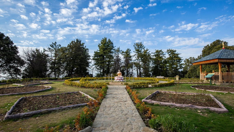 Craignano Nature Park Shimla Simply Creative Minds