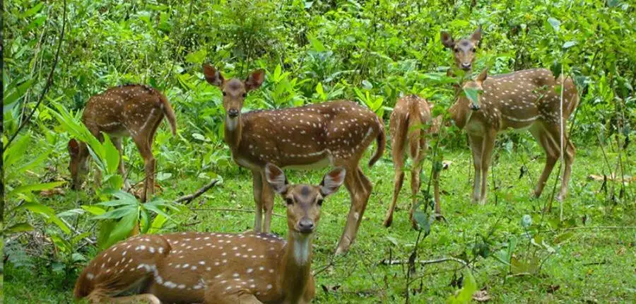 Kalatop Wildlife Sanctuary Gallery image 3 Simply Creative Minds