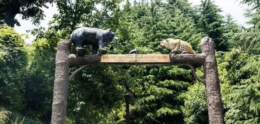 Kalatop Wildlife Sanctuary Gallery image 4 1 Simply Creative Minds