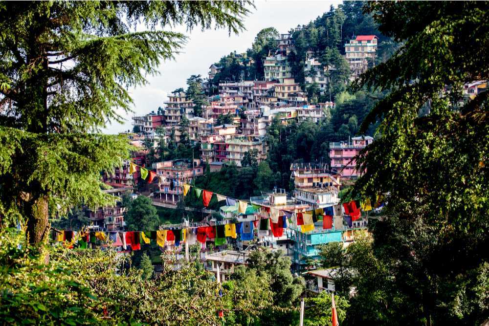 MCLEODGANJ Simply Creative Minds