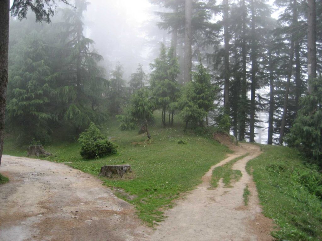 Kalatop Wildlife Sanctuary — Dalhousie’s Hidden Forest Haven