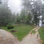 Kalatop Wildlife Sanctuary — Dalhousie’s Hidden Forest Haven