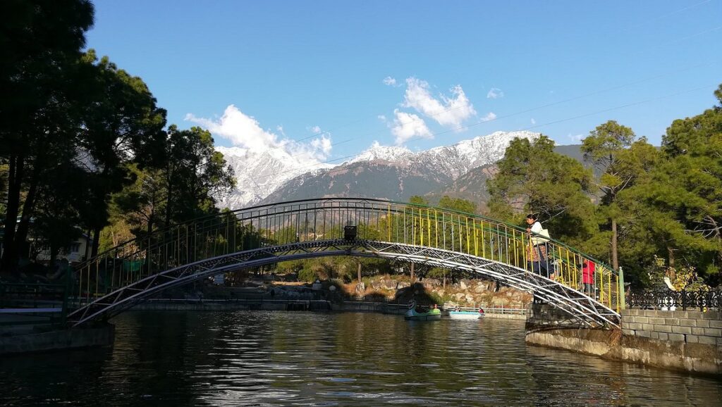 Palampur – Himachal’s Tea Capital Hidden in Pine Forests 6 Saurabh Van Vihar